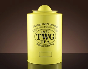 TWG Tea 싱가폴직배송 새턴 티 틴 인 카나리 옐로 (250g)